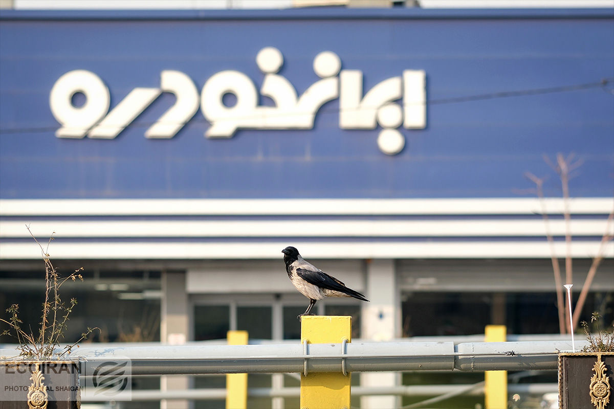 زیانده اما زنده؛ زشت و زیبای صنعت خودرو ایران زیانده اما زنده؛ زشت و زیبای صنعت خودرو ایران