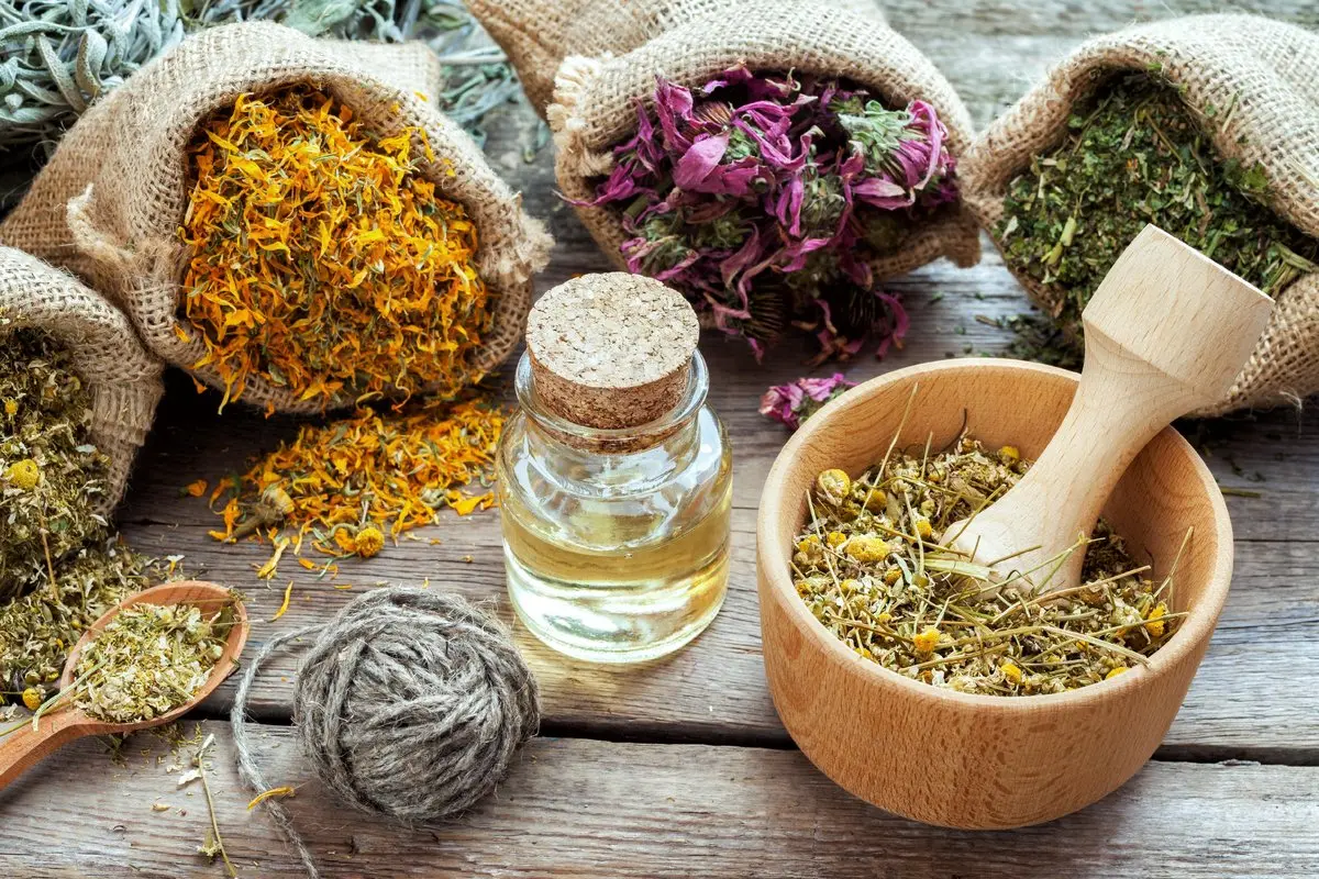 گیاهان دارویی پرکاربرد در طب سنتی و خواص آنها گیاهان دارویی پرکاربرد در طب سنتی و خواص آنها