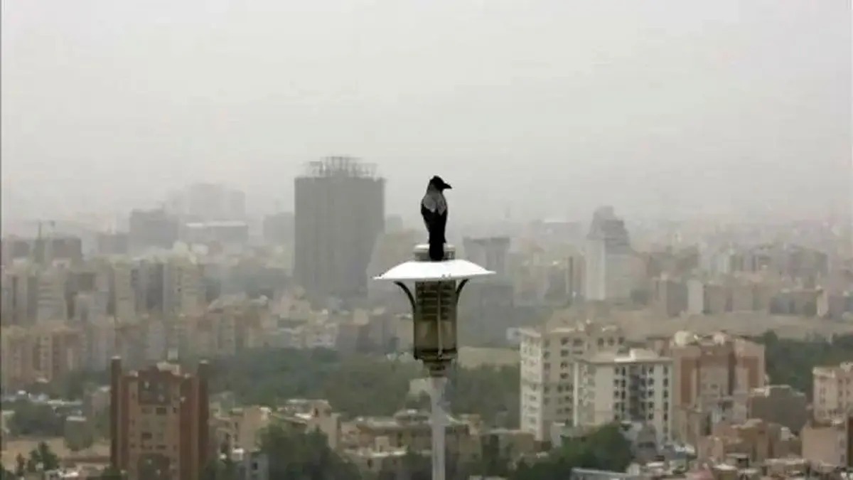 وضعیت آب و هوای تهران امروز دوشنبه ۲۴ آذر ۱۴۰۴ / غبار دوباره به تهران برمیگردد؟ وضعیت آب و هوای تهران امروز دوشنبه ۲۴ آذر ۱۴۰۴ / غبار دوباره به تهران برمیگردد؟
