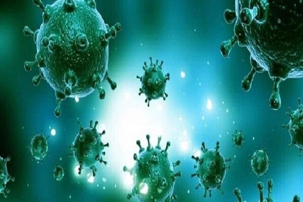 پنجمین فوتی آنفلوآنزا در هرمزگان ثبت شد پنجمین فوتی آنفلوآنزا در هرمزگان ثبت شد
