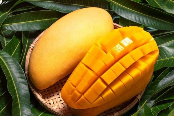 میوهای برای حفظ وزن و کنترل قند خون میوهای برای حفظ وزن و کنترل قند خون