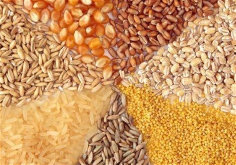 تحویل مدتدار نهاده دامی به مرغداران تصویب شد تحویل مدتدار نهاده دامی به مرغداران تصویب شد