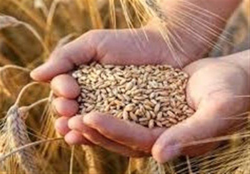 ستاد اقتصادی دولت ساماندهی زنجیره گندم، آرد ونان را بررسی میکند ستاد اقتصادی دولت ساماندهی زنجیره گندم، آرد ونان را بررسی میکند