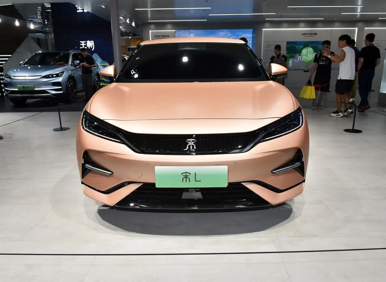 سقوط آزاد بیوایدی در ژانویه سقوط آزاد بیوایدی در ژانویه