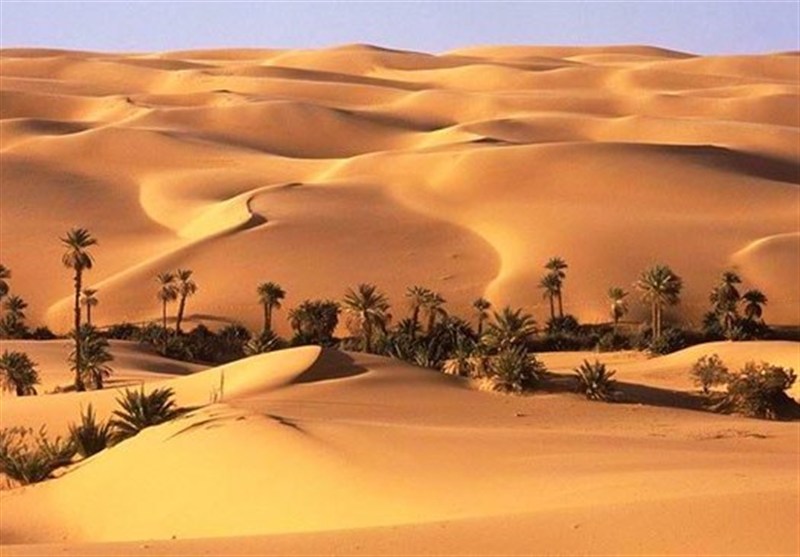 «نجات آب» ــ 69| حمایت از زنجیره ارزش پایدار محصولات در مناطق خشک «نجات آب» ــ 69| حمایت از زنجیره ارزش پایدار محصولات در مناطق خشک