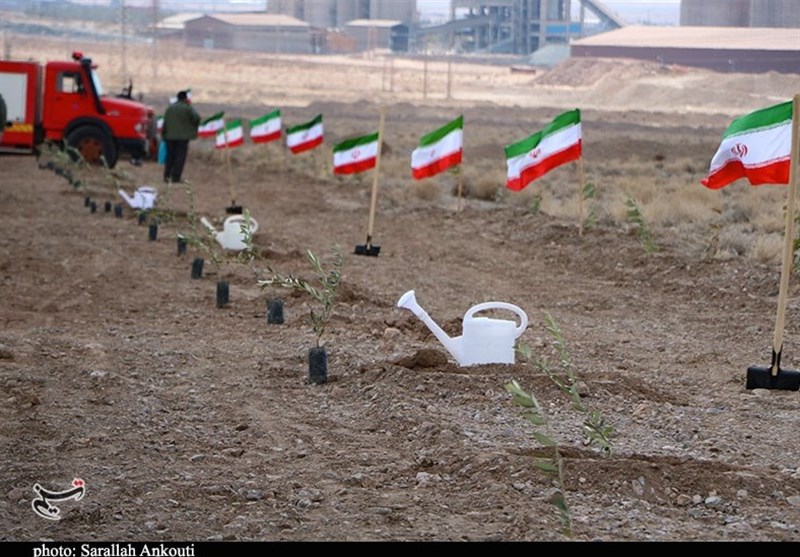 پیگیری طرح رهبر شهید برای کاشت یک میلیارد درخت با قوت بیشتر پیگیری طرح رهبر شهید برای کاشت یک میلیارد درخت با قوت بیشتر