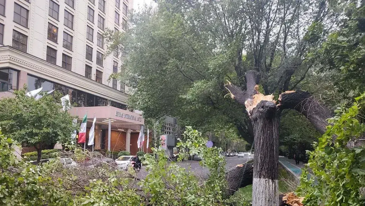 تازهترین آمار از تعداد مصدومان طوفان امروز در تهران تازهترین آمار از تعداد مصدومان طوفان امروز در تهران