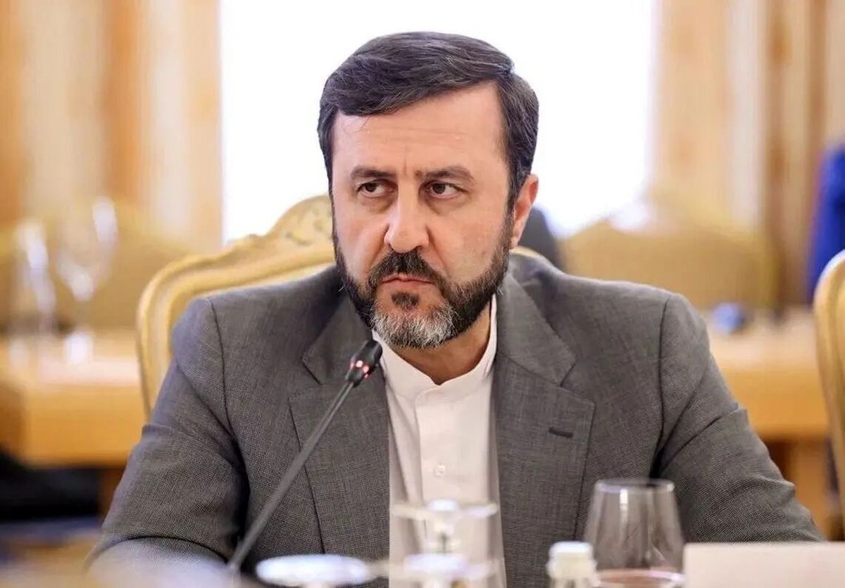 غریب آبادی در دیدار با نماینده صلیب سرخ: نمیتوان برخی از دولتهای همسایه را بیطرف محسوب کرد غریب آبادی در دیدار با نماینده صلیب سرخ: نمیتوان برخی از دولتهای همسایه را بیطرف محسوب کرد