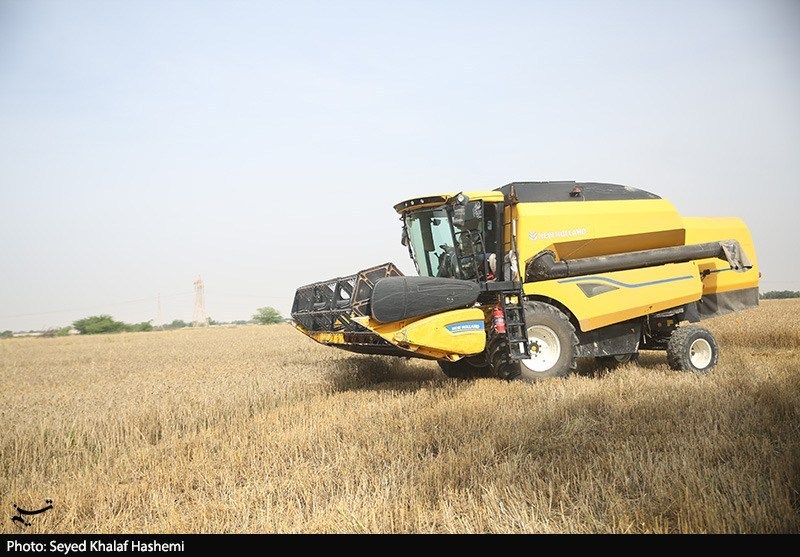 قیمت گندم 5نرخی شد قیمت گندم 5نرخی شد