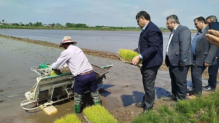 نخستین کشت نشاء مکانیزه برنج در دهسر بندر کیاشهر انجام شد نخستین کشت نشاء مکانیزه برنج در دهسر بندر کیاشهر انجام شد