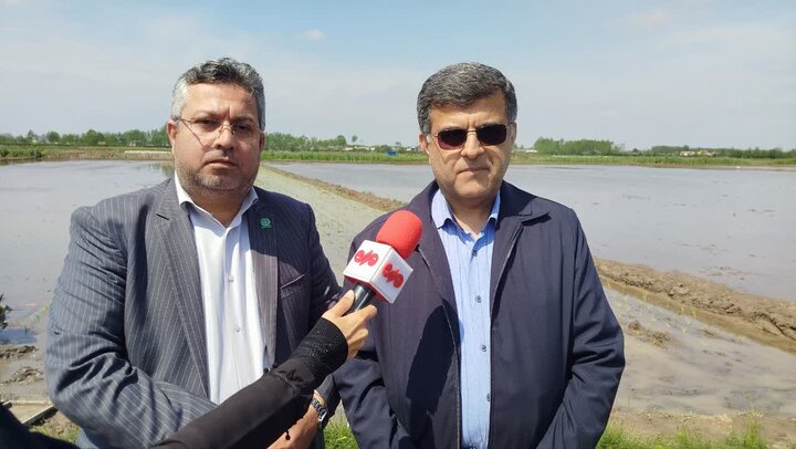 نخستین کشت نشاء مکانیزه برنج در دهسر بندر کیاشهر انجام شد نخستین کشت نشاء مکانیزه برنج در دهسر بندر کیاشهر انجام شد