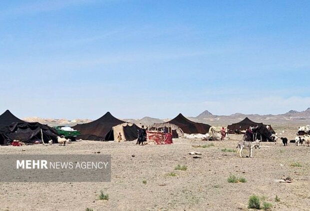 ۶۰۰ میلیارد ریال تسهیلات در اختیار عشایر قزوین قرار گرفت ۶۰۰ میلیارد ریال تسهیلات در اختیار عشایر قزوین قرار گرفت