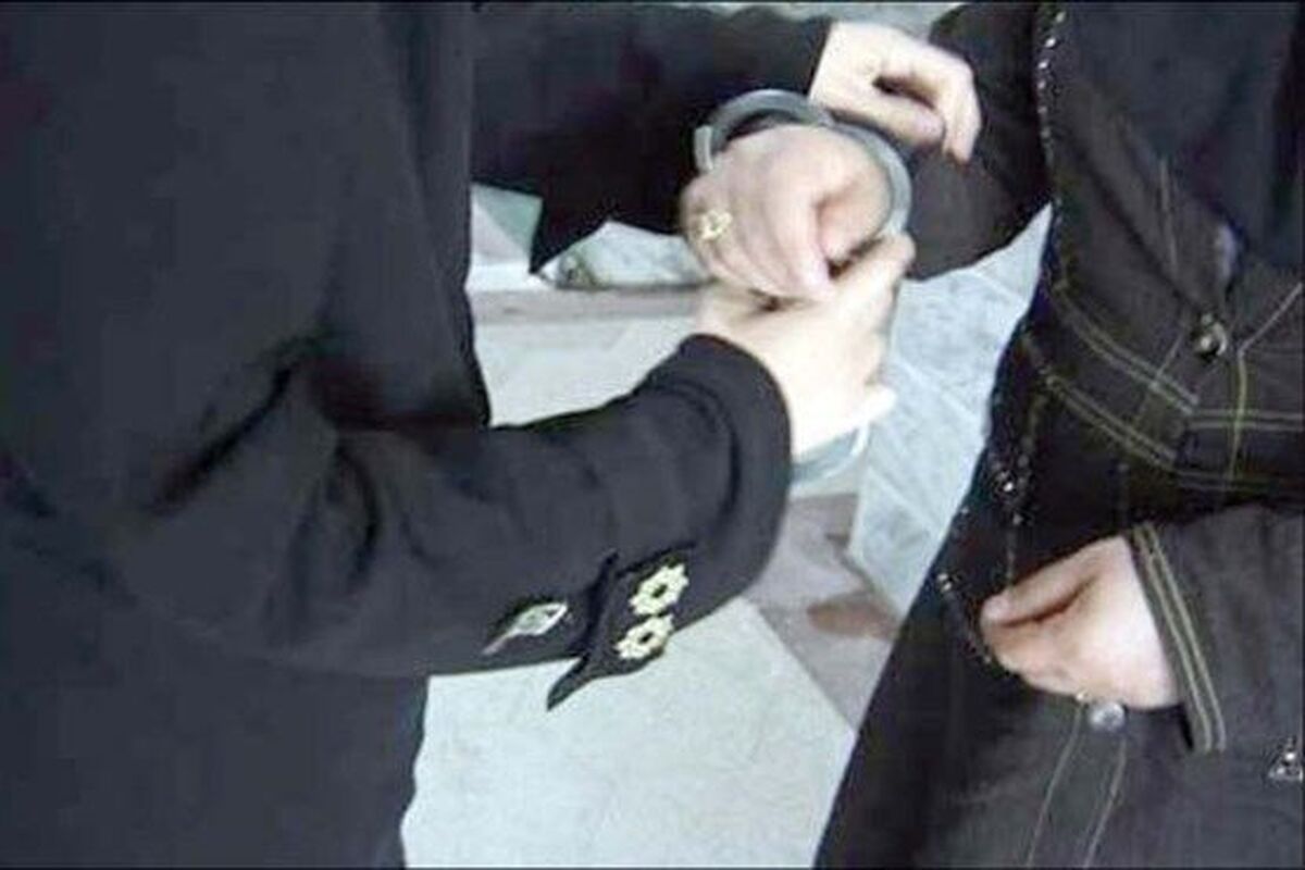 دستگیری زن سارق با ۳۰ فقره سرقت + عکس دستگیری زن سارق با ۳۰ فقره سرقت + عکس