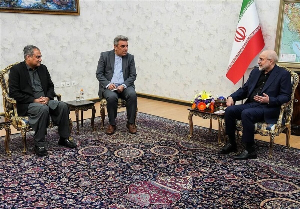 دیدار وزیر کشور پاکستان با قالیباف دیدار وزیر کشور پاکستان با قالیباف