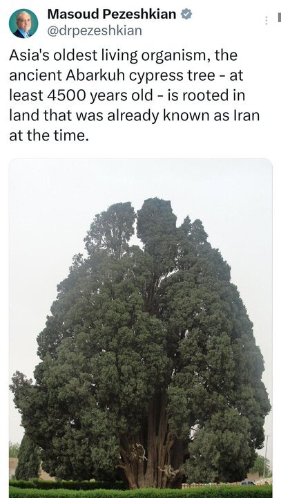 سرو ۴۵۰۰ ساله ابرکوه؛ پاسخ تاریخی «پزشکیان» به غرور «ترامپ» سرو ۴۵۰۰ ساله ابرکوه؛ پاسخ تاریخی «پزشکیان» به غرور «ترامپ»