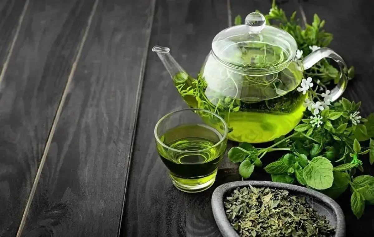 چه کسانی نباید چای سبز بخورند؟ چه کسانی نباید چای سبز بخورند؟