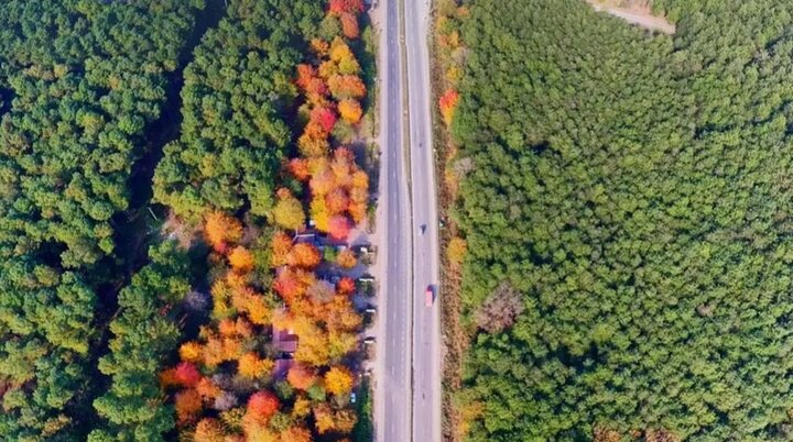 «گیسوم» نامزد ایران برای بهترین روستای جهانی گردشگری «گیسوم» نامزد ایران برای بهترین روستای جهانی گردشگری