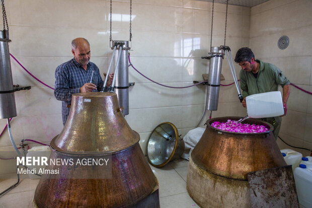 نمایشگاه گل و گلاب در بوستان باغ ایرانی برگزار میشود نمایشگاه گل و گلاب در بوستان باغ ایرانی برگزار میشود
