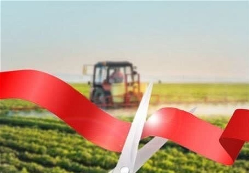 میانگین زمان صدور مجوزهای کشاورزی به 35 روز کاهش یافت میانگین زمان صدور مجوزهای کشاورزی به 35 روز کاهش یافت